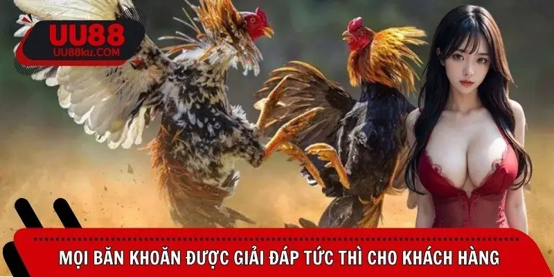 moi-ban-khoan-duoc-giai-dap-tuc-thi-cho-khach-hang